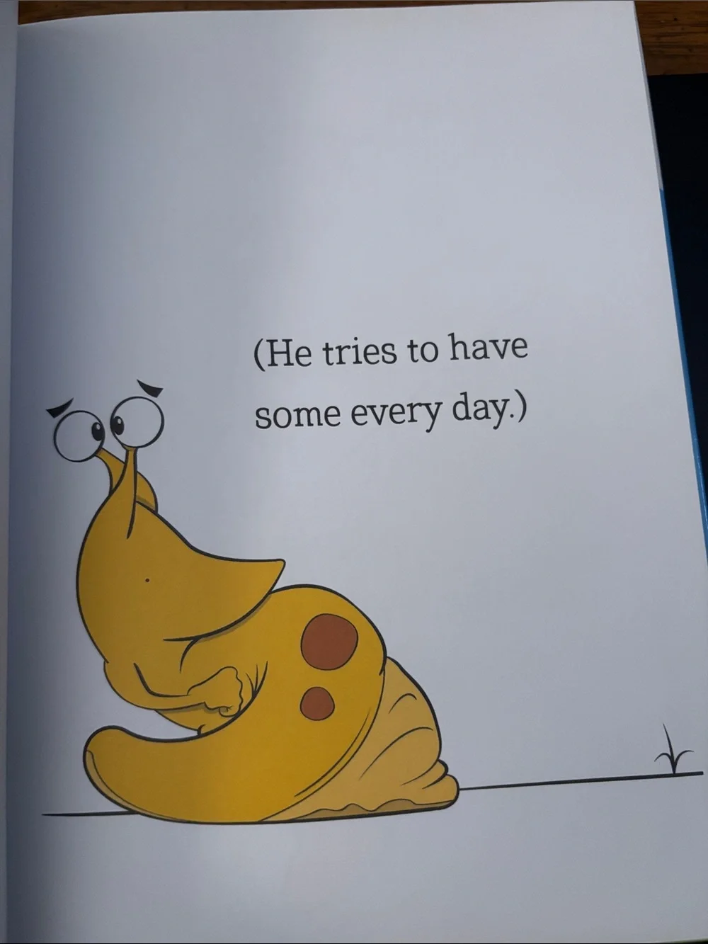 Who Will Play with Me? written by Randall Goodgame and illustrated by Cory Jones